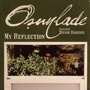My Reflection