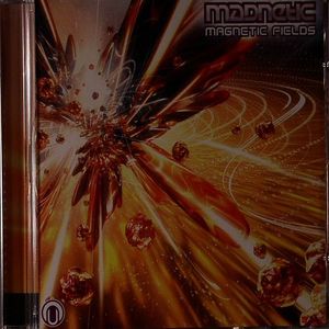 Magnetic Fields