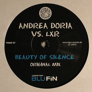 Beauty Of Silence