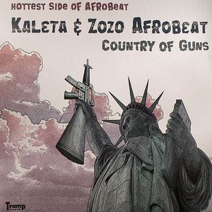 Country Of Guns