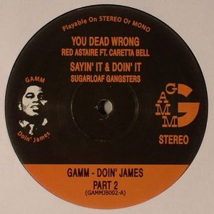 Gamm Doin James Vol 2
