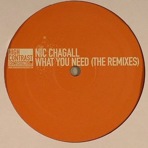 What You Need (The Remixes)