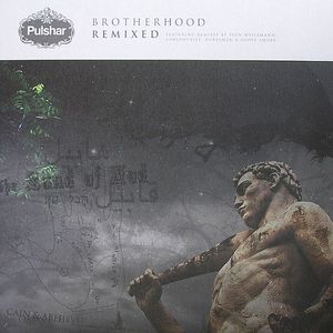 Brotherhood: Remixed