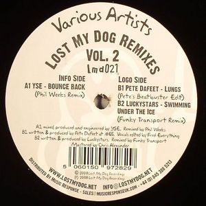 Lost My Dog Remixes Vol 2