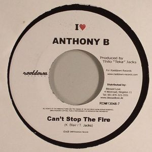 Can't Stop The Fire (I Love Riddim)