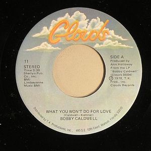 What You Won't Do For Love
