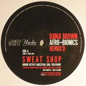 Afro Bionics (remixes)