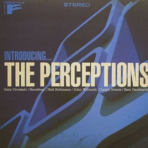 Introducing The Perceptions