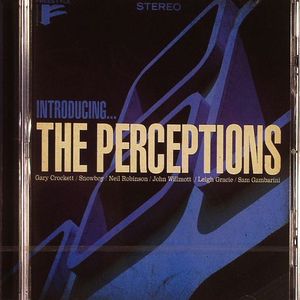 Introducing The Perceptions