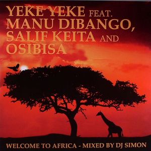 Welcome To Africa: Mixed By DJ Simon