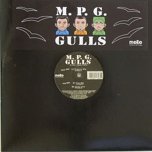 Gulls