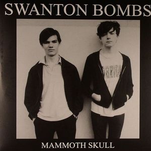 Mammoth Skull