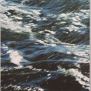 Silver Shoals Of Light