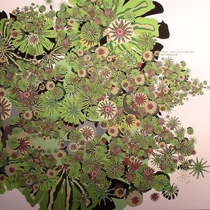 Uva Fragolina