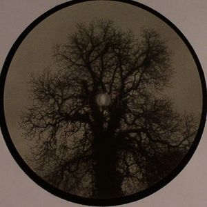 Baum Limited Picture Edition 002