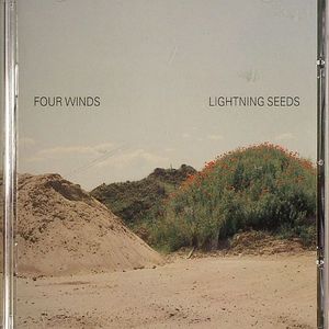 4 Winds