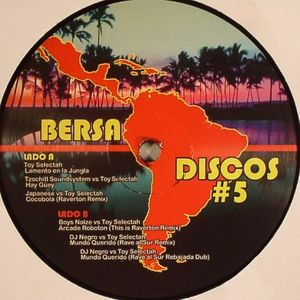 Bersa Disco #5