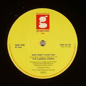 Just Don't Love You