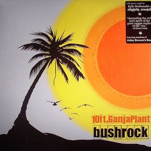 Bush Rock