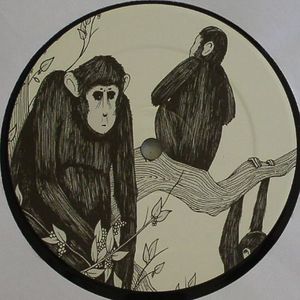 Le Ame D'un Singe