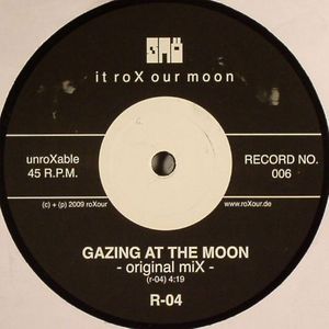 Gazing At The Moon
