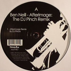 Afterimage (The DJ Pinch Remix)