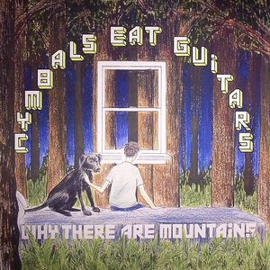 Why There Are Mountains