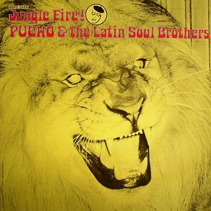 Jungle Fire!