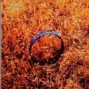 Out My Window: Instrumentals + Bonus Beats