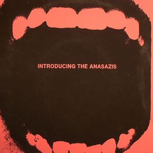 Introducing The Anasazis