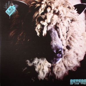 Revenge Of The Sheep