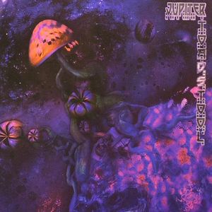 Jupiter Toadstool