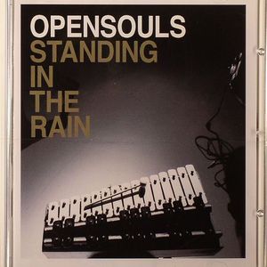 Standing In The Rain