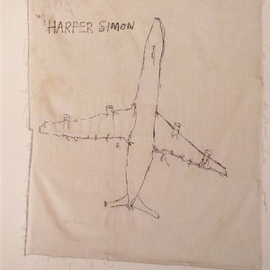 Harper Simon