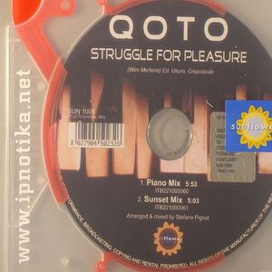 Struggle For Pleasure