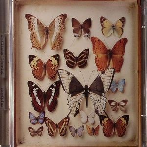 Rarities