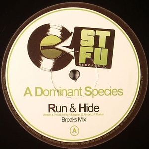 Run & Hide