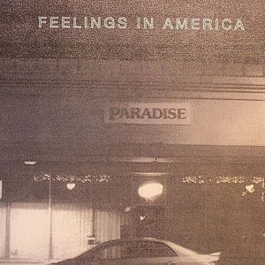 Feelings In America