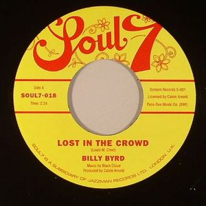 Lost In The Crowd