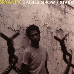 Daisies Grow