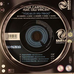 Voices In My Head