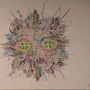 Hyperdimensional Animals
