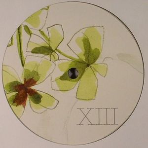 XIII