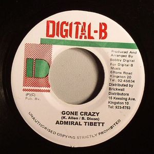 Gone Crazy (You Don't Care Riddim)