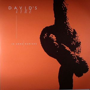 In Arms (Remixes)
