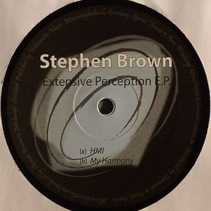 Extensive Perception EP