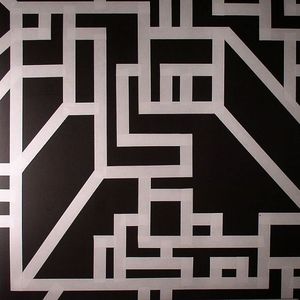 Earth Grid