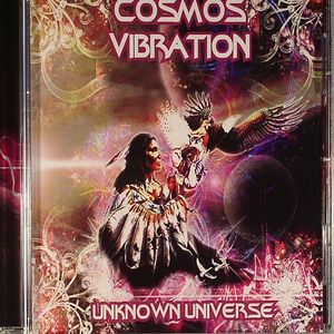 Unknown Universe