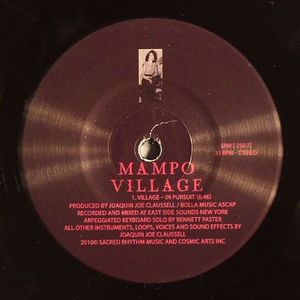 Village In Pursuit