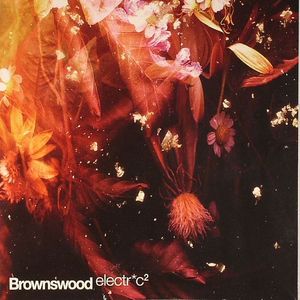 STEVENSON, Alex/VARIOUS - Brownswood Electric 2